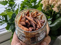 بخور عنفر